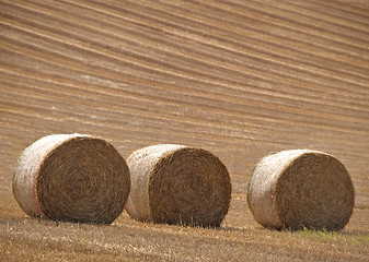 Image showing Three Bails