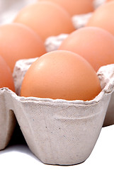 Image showing Brown Egg