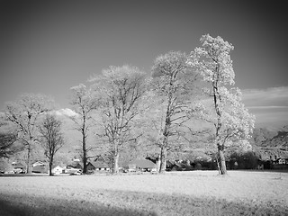 Image showing infrared photography landscape