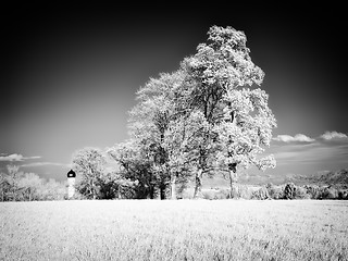 Image showing infrared photography landscape