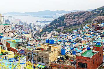 Image showing Gamcheon Culture Village in South Korea.