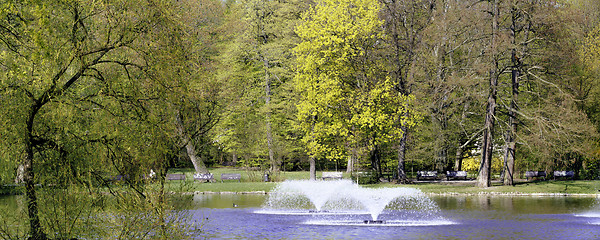 Image showing Panoramic view on park