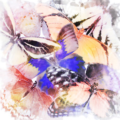 Image showing Watercolor Butterfly Background