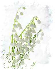 Image showing Lily Of The Valley Watercolor