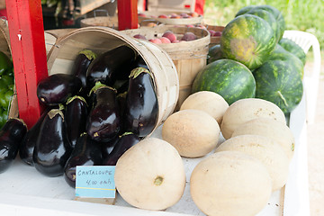 Image showing Farmers Market Melons