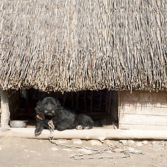 Image showing dog kennel