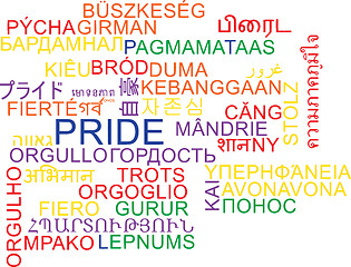 Image showing Pride multilanguage wordcloud background concept