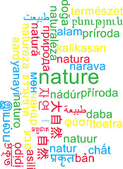 Image showing Nature multilanguage wordcloud background concept
