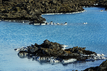 Image showing Milky white and blue water of the geothermal bath Blue Lagoon in