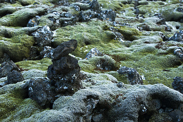 Image showing Durable moss on volcanic rocks in Iceland