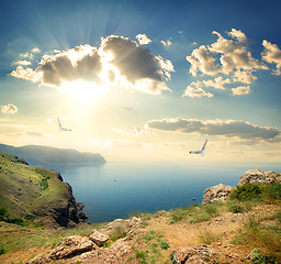 Image showing Seagulls over rocks by sea