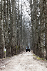 Image showing Lime tree alley with tractor on road