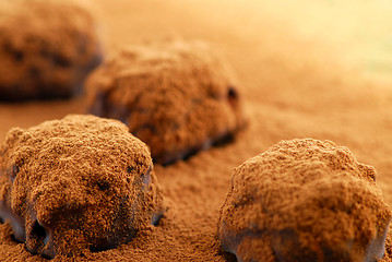 Image showing Chocolate truffles