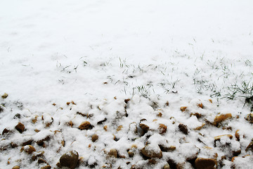 Image showing First snow