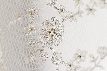 Image showing Special lace