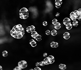 Image showing Soap bubbles