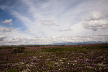 Image showing on top of the mountain