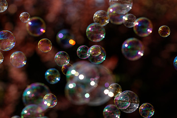 Image showing Soap bubbles