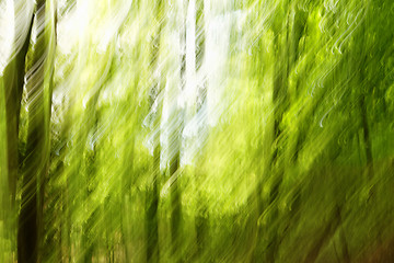 Image showing Blurred trees background