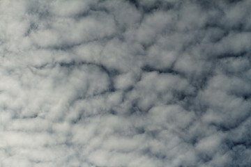 Image showing Cirrus clouds