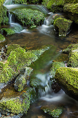Image showing Flowing stream and mossy stones