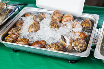 Image showing snails or seafood on ice at asian street market