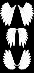 Image showing Angel wings