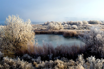 Image showing Winter season