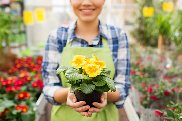 Image showing close up of woman holding flowers in greenhouse