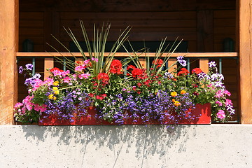 Image showing Flowers on balcony