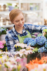 Image showing happy woman taking care of flowers in greenhouse