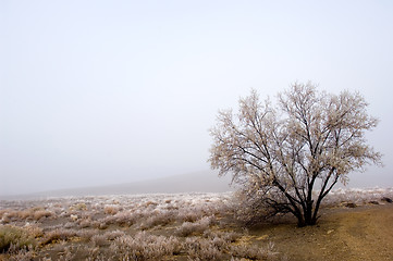 Image showing Winter season