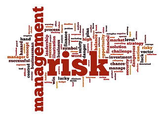 Image showing Management risk word cloud with white background