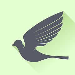Image showing Grey Bird