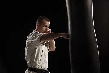 Image showing Karate kick in a punching bag