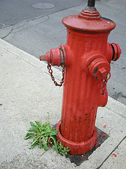 Image showing Fire Hydrant