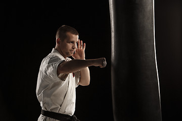 Image showing Karate kick in a punching bag