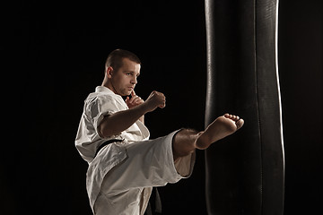 Image showing Karate round kick in a punching bag