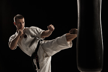 Image showing Karate round kick in a punching bag