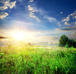 Image showing Field with green grass