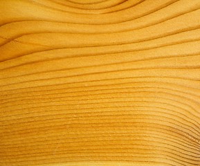 Image showing Brown larch wood background