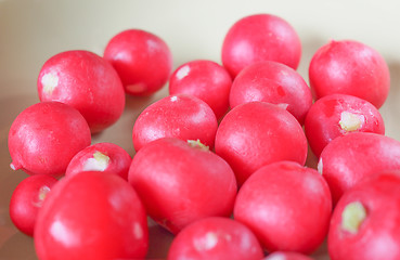 Image showing Radish vegetable 