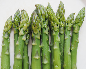 Image showing Asparagus vegetable