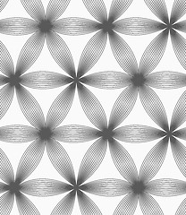 Image showing Monochrome linear striped six pedal flowers