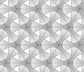 Image showing Monochrome gradually striped tetrapods and grid