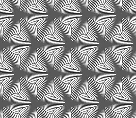Image showing Monochrome gradually striped three pedal flowers
