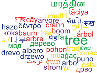 Image showing Tree multilanguage wordcloud background concept