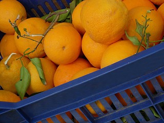 Image showing Orange Crate