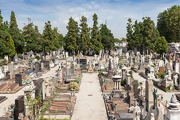 Image showing Monumental Cemetery