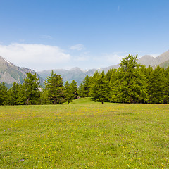 Image showing Italian Alps